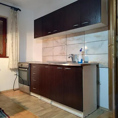 Apartment Vojin *