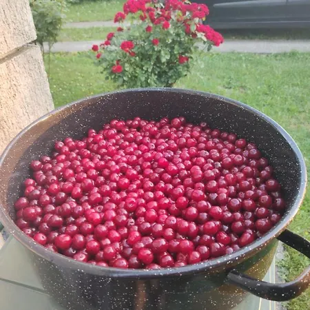 Vojin Meljak