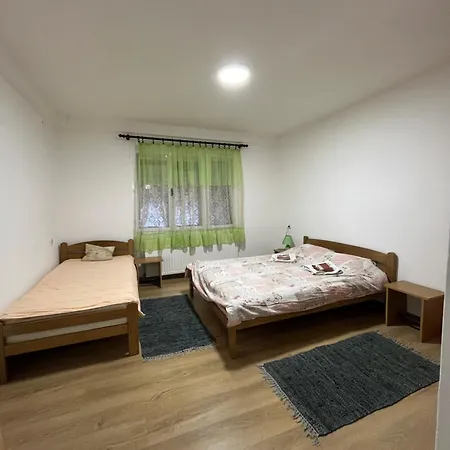 Vojin I Lena Apartmán Soko Banja