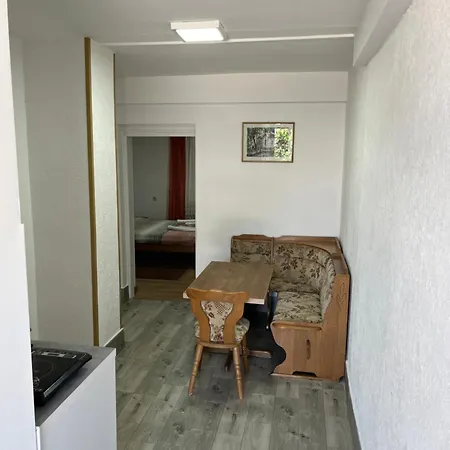 Apartmán Vojin I Lena Soko Banja