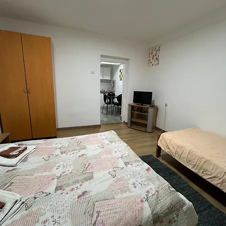 Apartmán Vojin I Lena Soko Banja