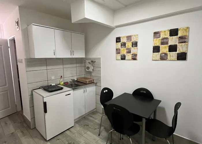 Vojin I Lena Apartman Soko Banja