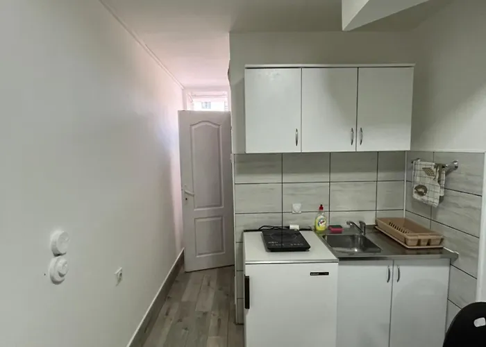 Apartman Vojin I Lena Soko Banja