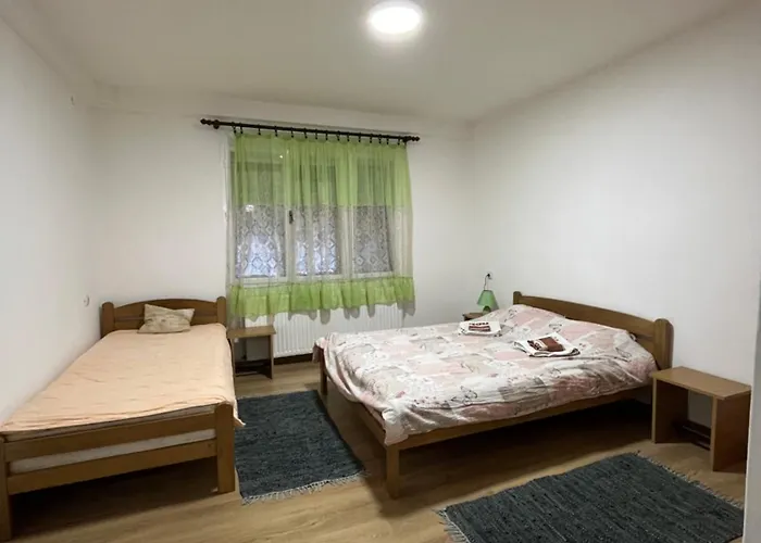 Vojin I Lena Apartman Soko Banja