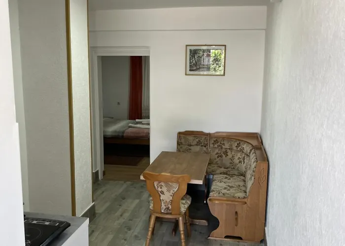Apartman Vojin I Lena Soko Banja