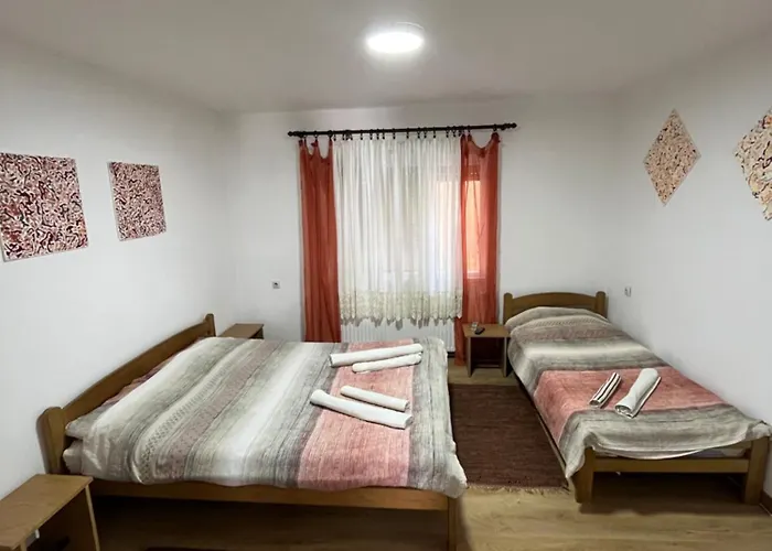 Vojin I Lena Soko Banja