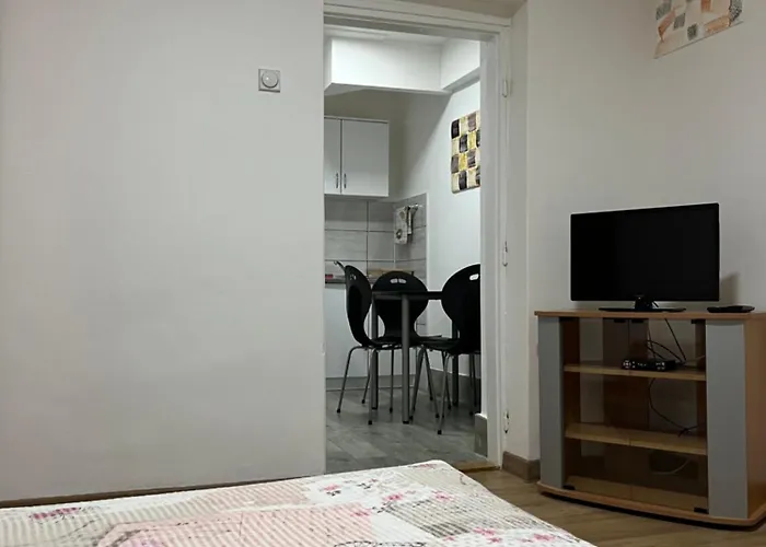 Vojin I Lena * Soko Banja