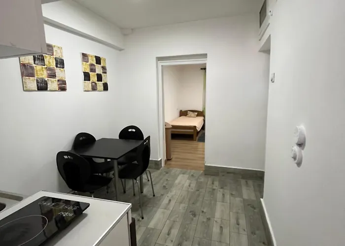 Vojin I Lena Apartman Soko Banja
